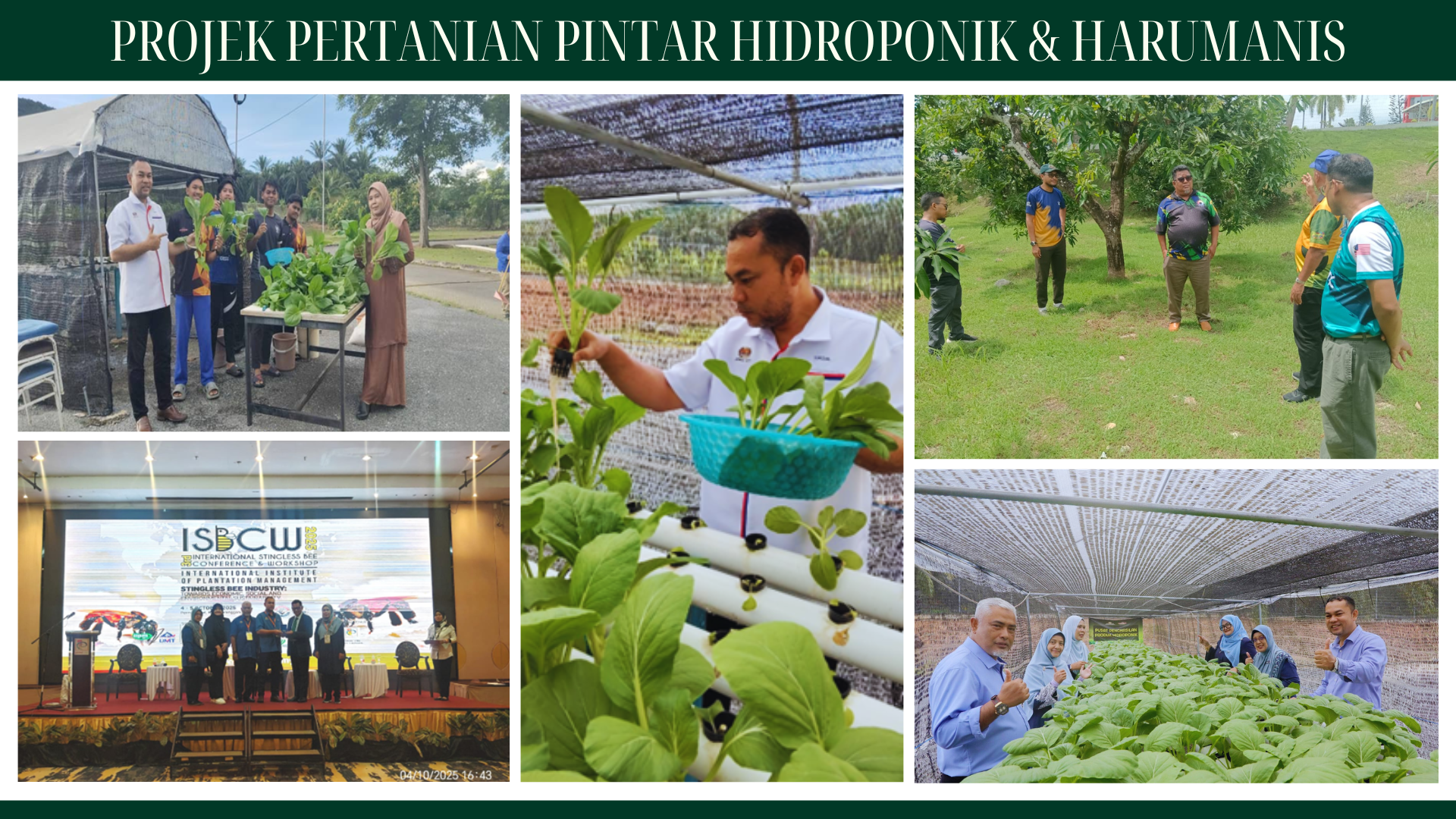 Program Dagangpro
